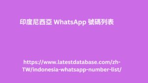 印度尼西亞 WhatsApp 號碼列表
